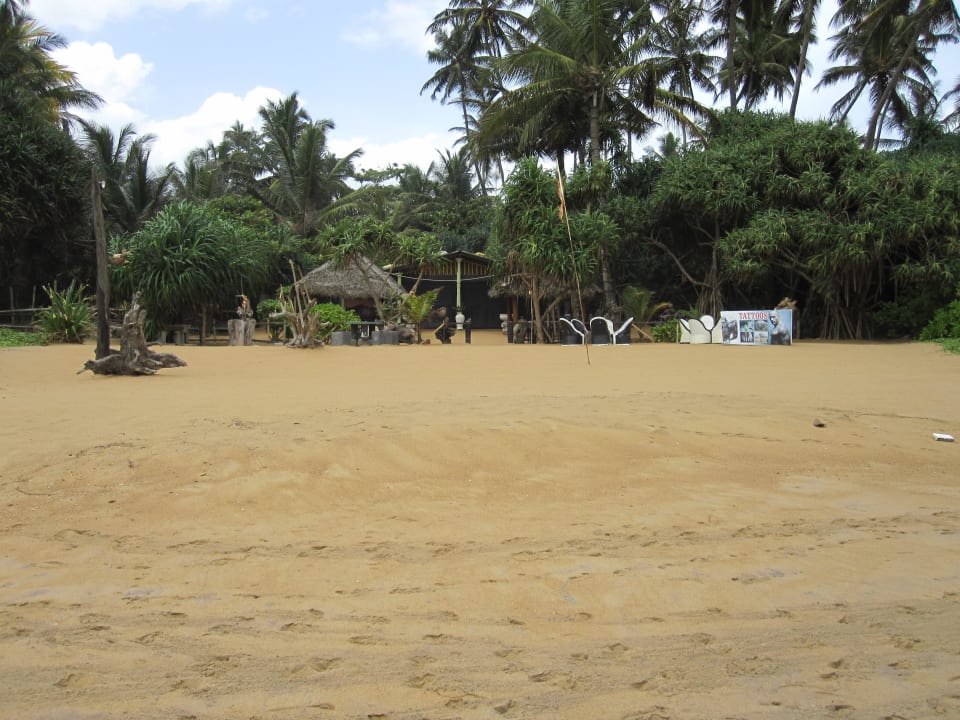 Impressionen bei der Strandwanderung Mermaid Hotel & Club