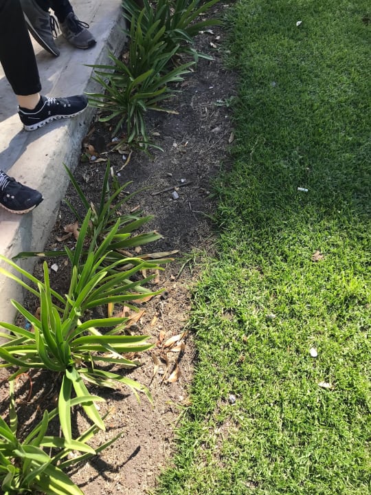 Gartenanlage Hotel Misty Mountain Reserve