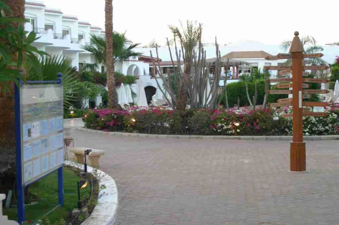 Gartenanlage Iberotel Palace