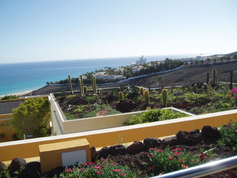 Blick vom Pool zum Meer AluaVillage Fuerteventura