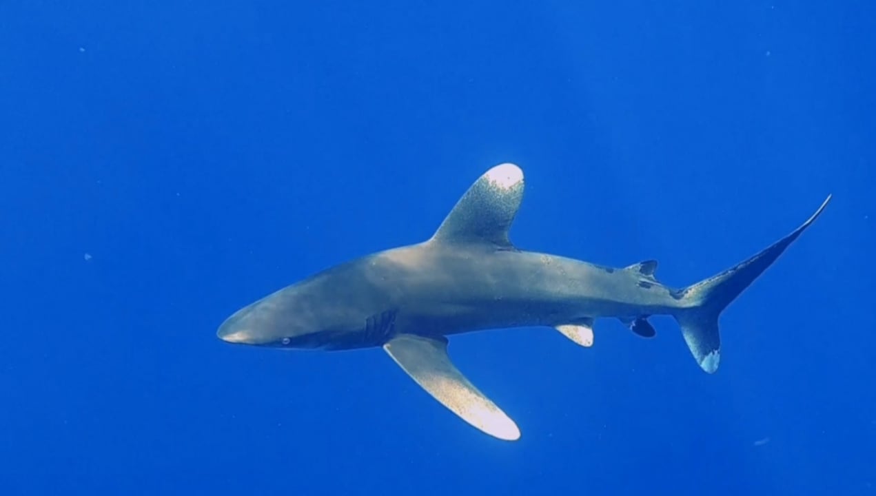 Sport & Freizeit Three Corners Happy Life Beach Resort