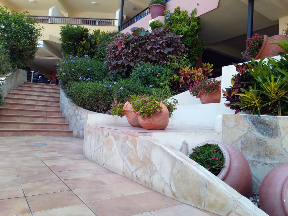 Gartenanlage HOVIMA Jardin Caleta