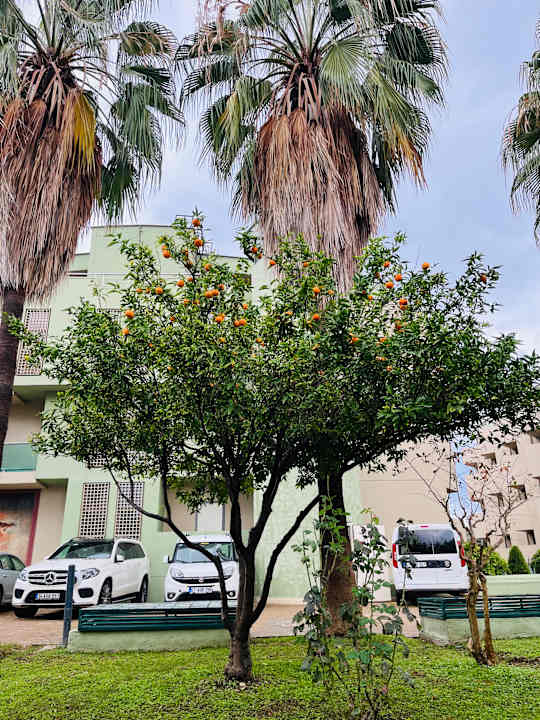 Gartenanlage VONRESORT Golden Coast