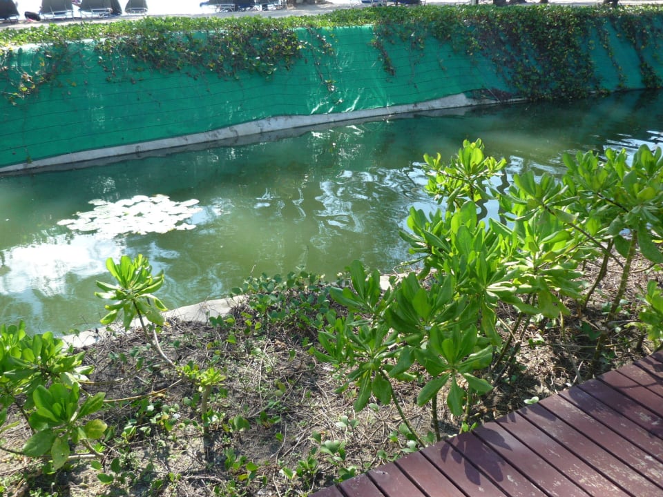 SENTIDO Graceland Khao Lak Resort & Spa Graceland Khao Lak Beach Resort