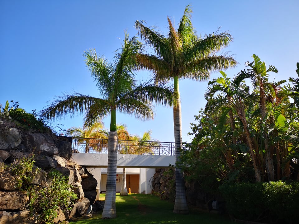 Gartenanlage Hotel Costa Calero