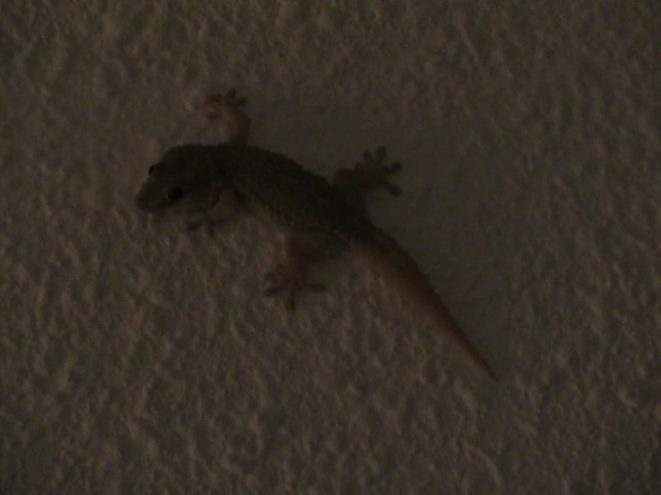 Zimmer Parque Santiago IV Official