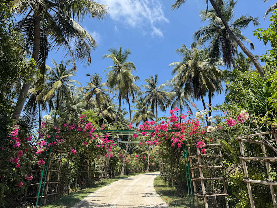 Gartenanlage Furaveri Maldives