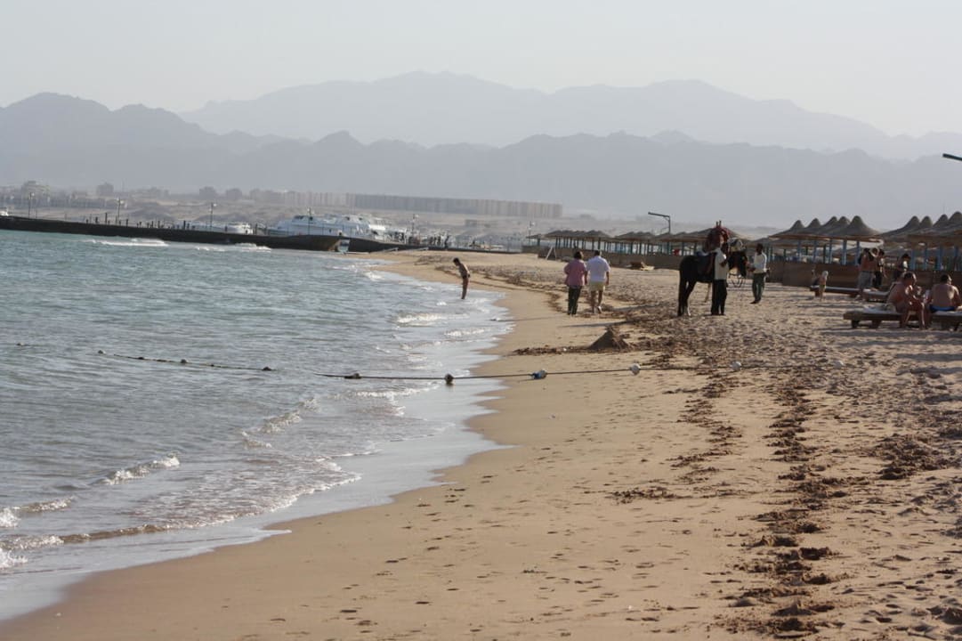 Strand mit Blick Richtung Hotel Shams Safaga Imperial Shams Abu Soma
