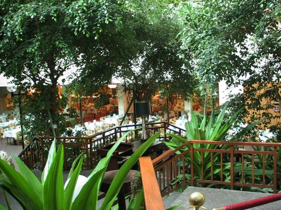 Speisesaal Radisson Blu Resort Sharjah