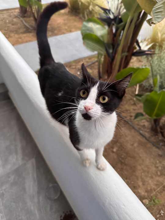 Sonstiges Delfina Tropic Beach