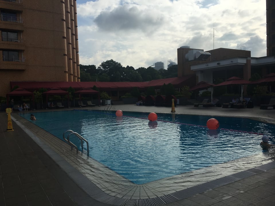 Pool Hotel Novotel Clarke Quay