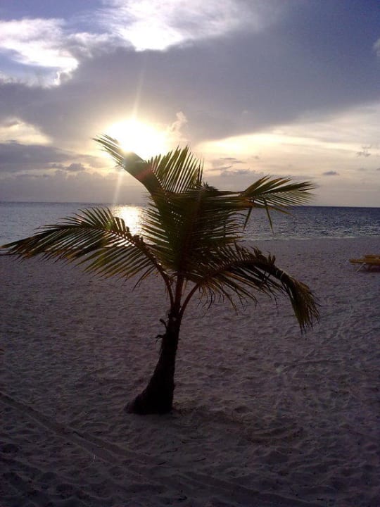 Noch ein herrlicher Sonnenaufgang Catalonia Punta Cana - All Inclusive