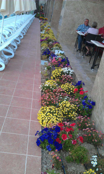 Trendy Verbena Beach Hotel Sentido Trendy Verbena Beach