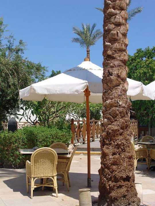 Anlage Ghazala Gardens