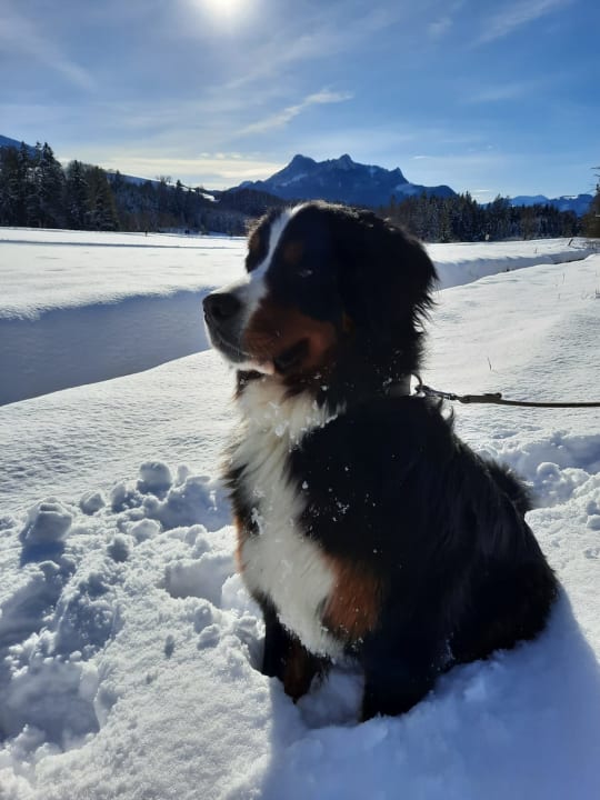 Sonstiges Ferienwohnungen Estermannhof