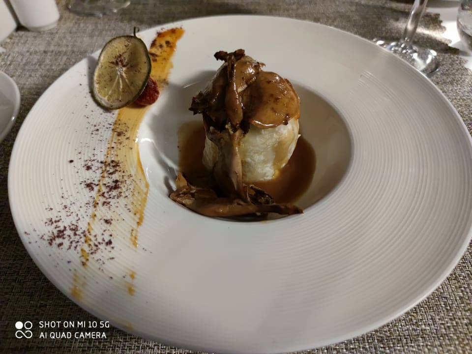 Gastro Acanthus Cennet Barut Collection