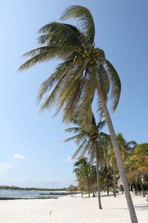 Plaża Dreams Aventuras Riviera Maya