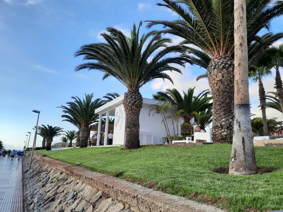 Außenansicht Hotel Riu Palace Tenerife