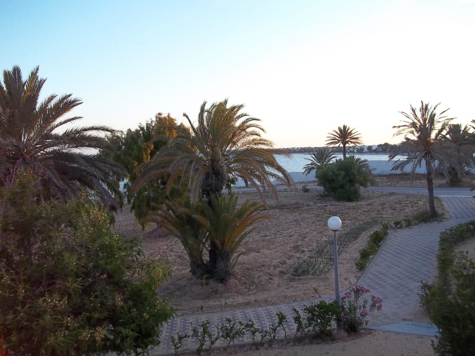 Vom Balkon Hotel El Mouradi Djerba Menzel