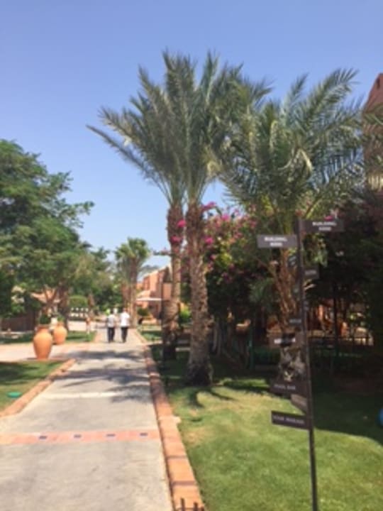 Gartenanlage Jaz Makadi Oasis Resort