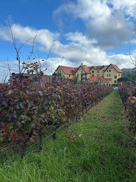 Gartenanlage Hotel Quinta do Furao