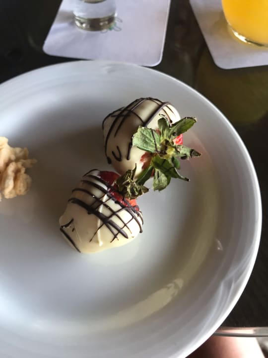 Gastro Akumal Bay Beach & Wellness Resort