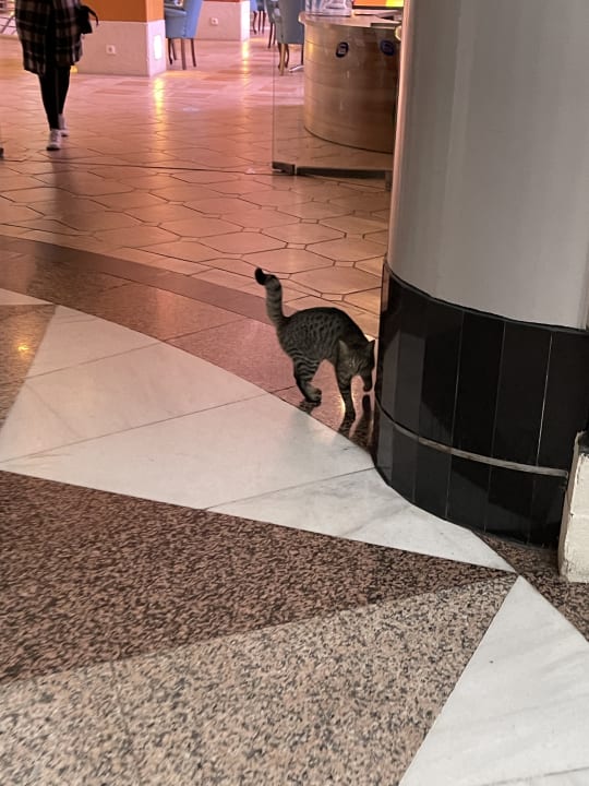 Sonstiges Limak Limra Hotel & Resort