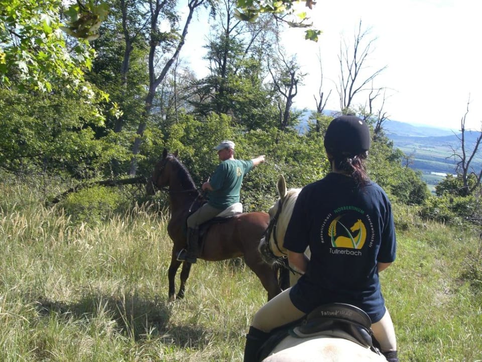 Ausritt Matild Country Hotel