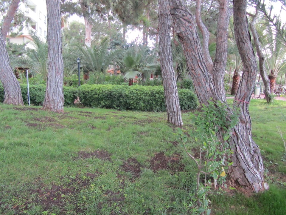 Hotel Incekum West İncekum West Hotel