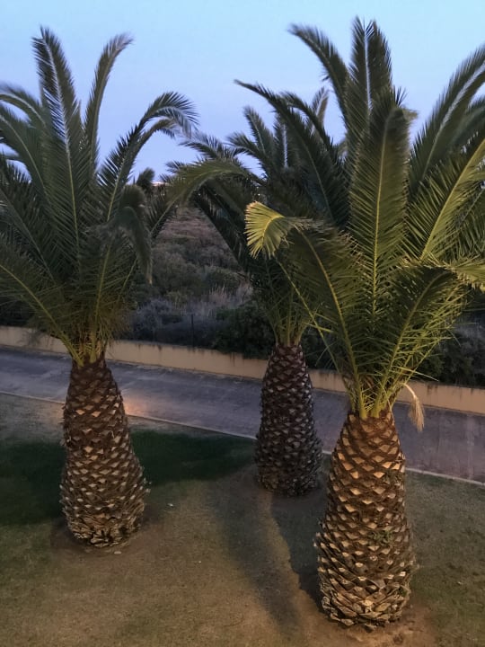 Ausblick Aldiana Club Andalusien