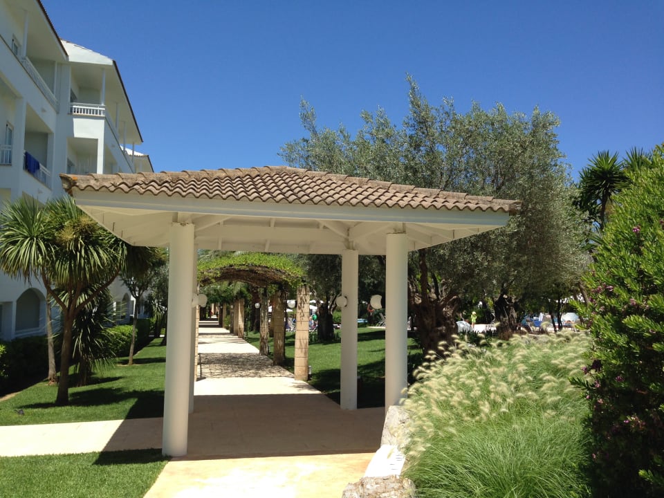 Gartenanlage Prinsotel La Dorada