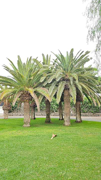 Außenansicht Bungalows Parque Bali