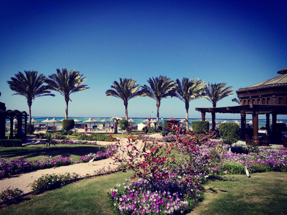Hotelgarten Swisstouch Oriental Resort Marsa Alam