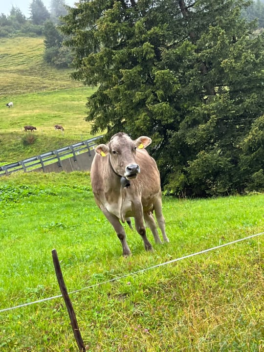Sonstiges Active Nature Resort DAS SeeMOUNT