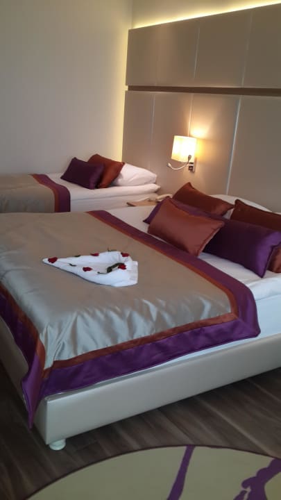 My fantastic room Hotel Botanik Platinum