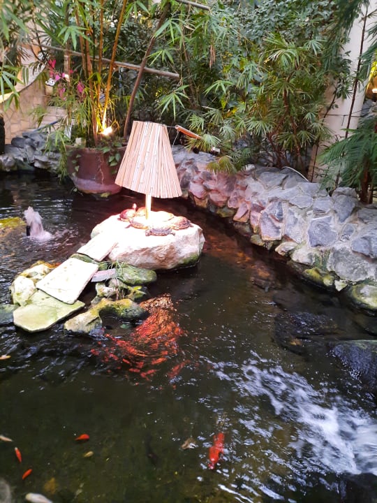 Gartenanlage Center Parcs Park Hochsauerland