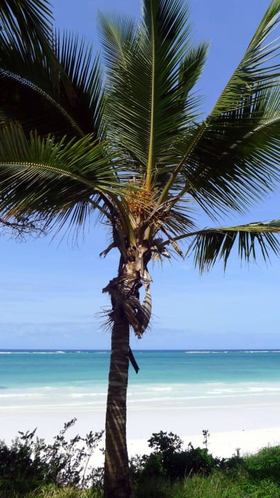 Kokospalme Baobab Beach Resort & Spa