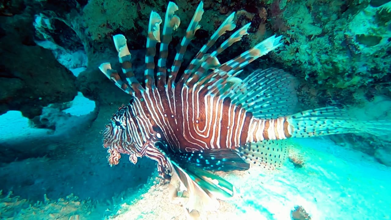 Sport & Freizeit TUI MAGIC LIFE Kalawy