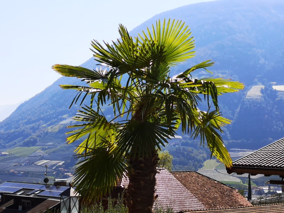 Ausblick Hotel Kassian