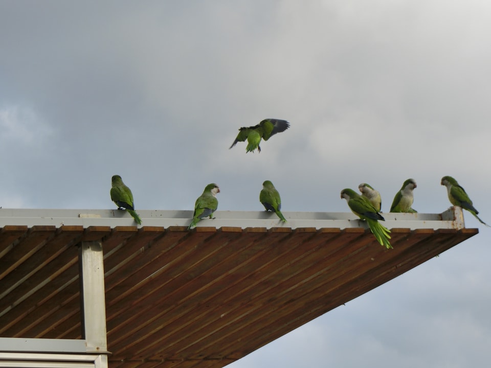 Sonstiges Servatur Alameda de Jandía