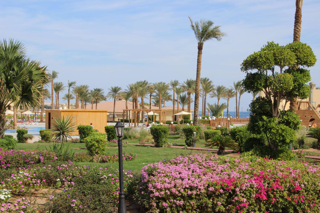 Garten Cleopatra Luxury Resort Makadi Bay