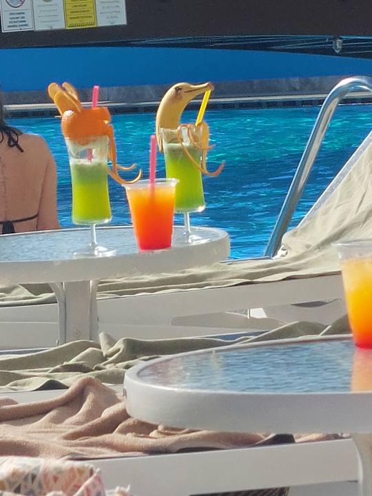 Gastro Granada Luxury Okurcalar