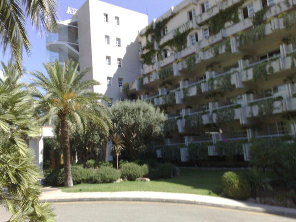 Haupteingang Palmira Beach Hotel allsun Hotel Bella Paguera