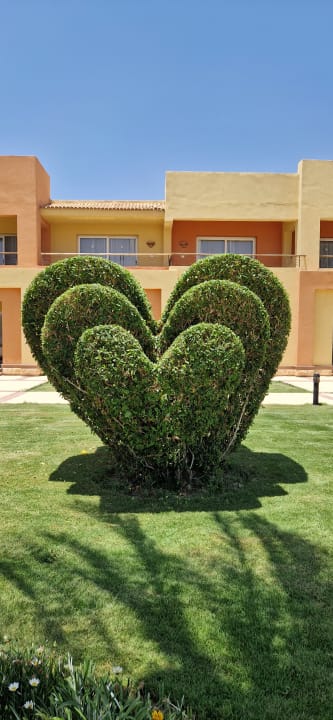 Gartenanlage Malikia Resort Abu Dabbab