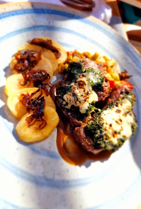 Gastro JAZ Elite Amara