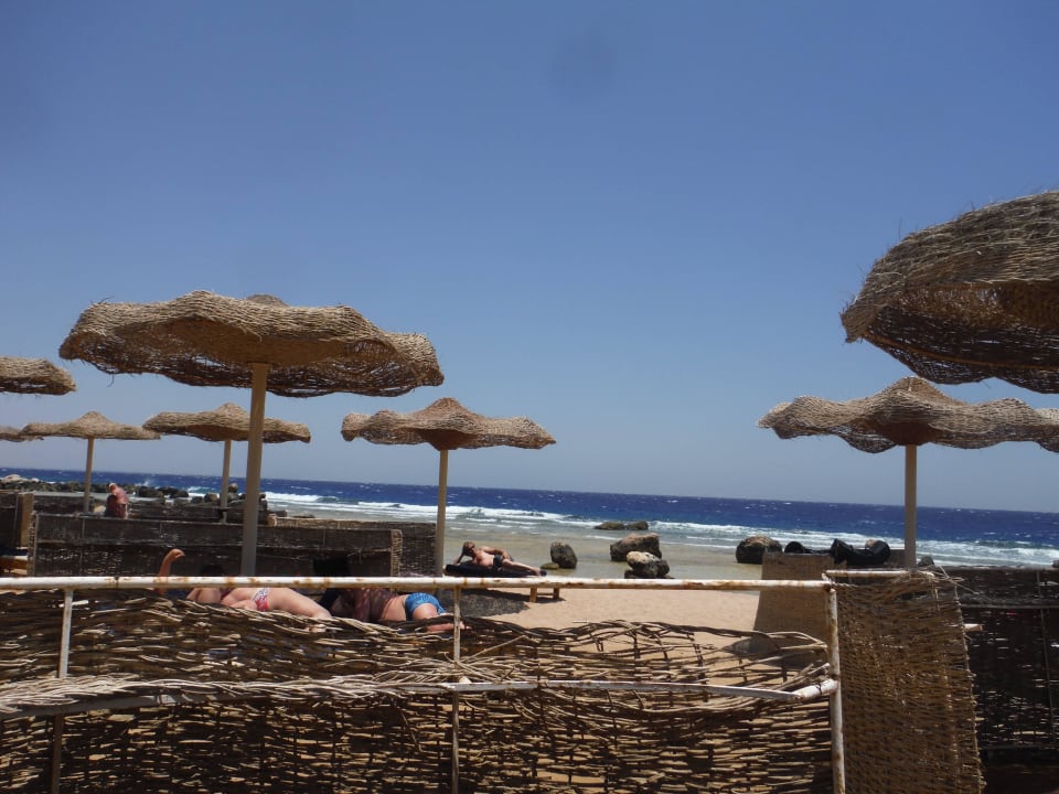 Blick von der liege übers Meer Pickalbatros Citadel Resort