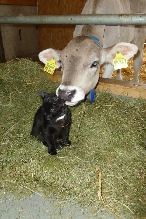 Sonstiges Ferienhof Baldauf