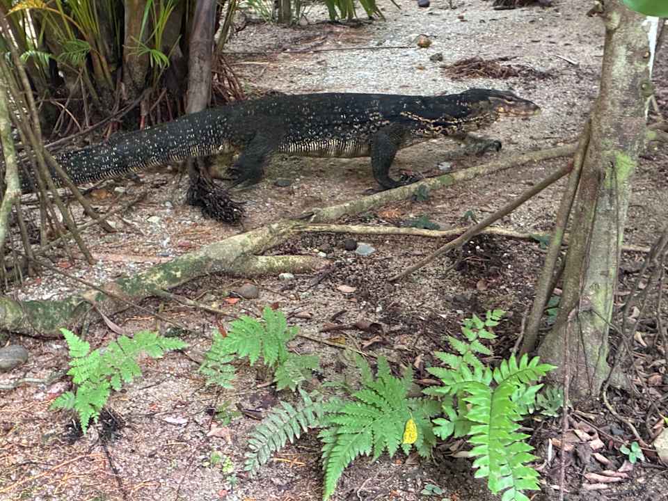 Gartenanlage Khaolak Bhandari Resort & Spa