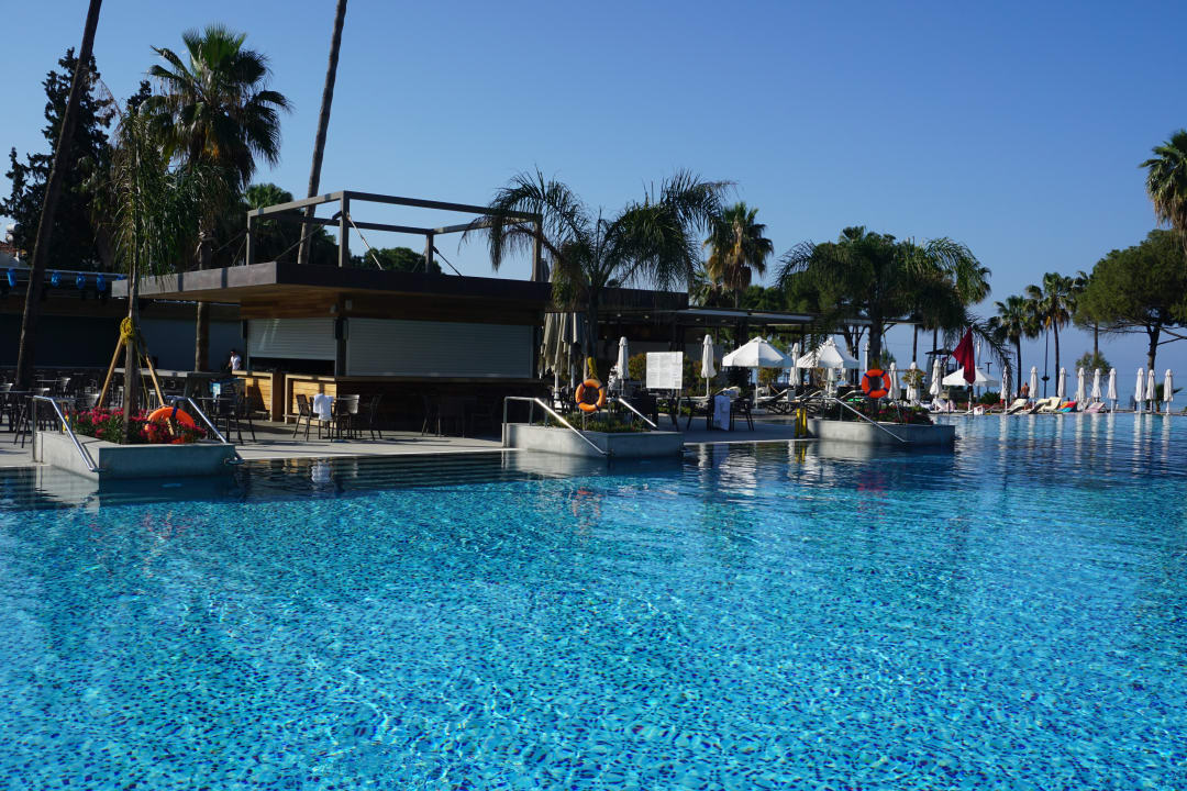 Pool Acanthus Cennet Barut Collection