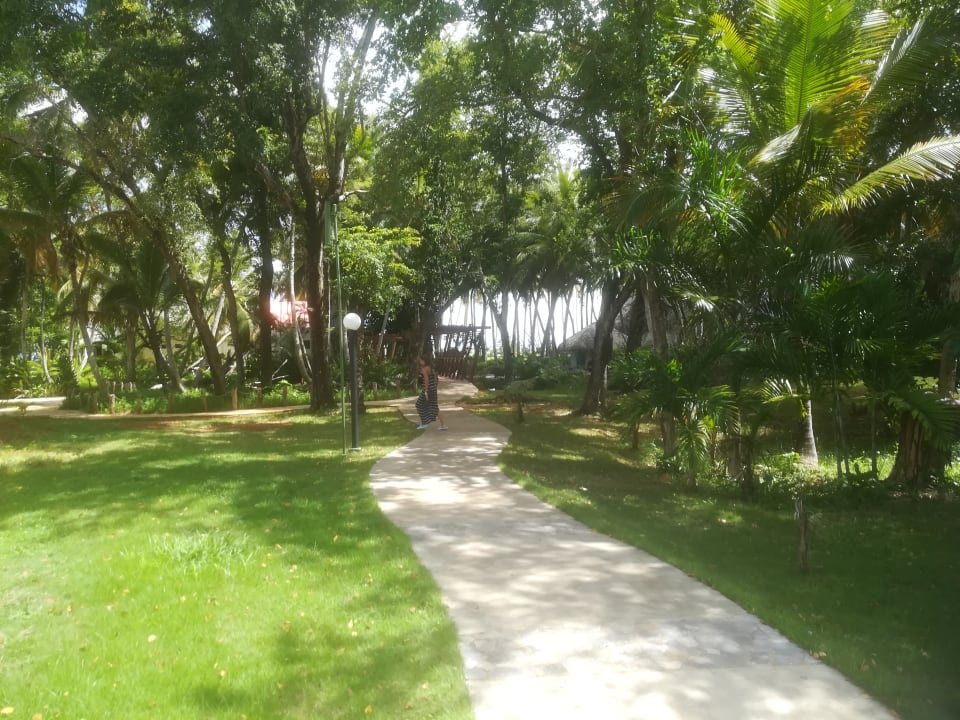 Garten Wyndham Alltra Samana